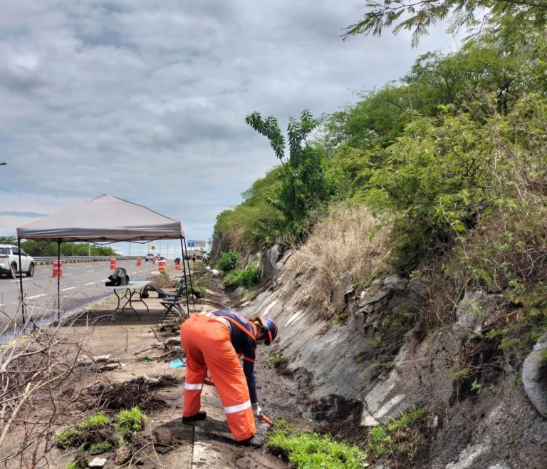Intensifican trabajos de prevención en el Cuarto Cinturón Vial