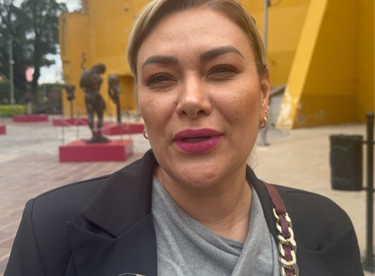 Reportan estable al sector restaurantero de Irapuato