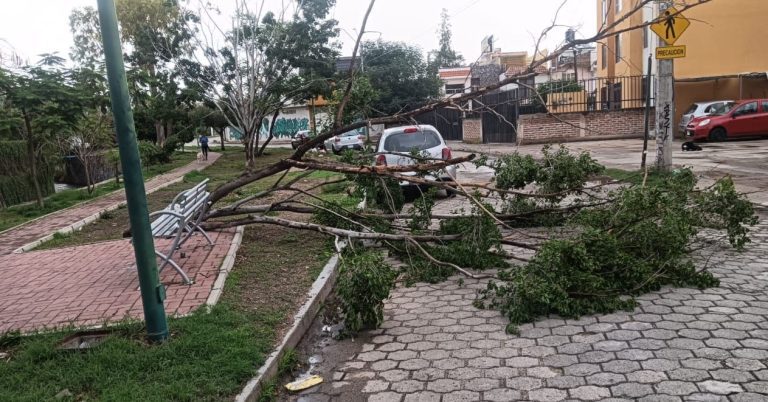Lluvia causa estragos en León