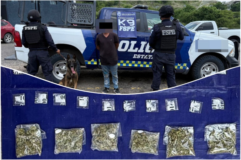 Binomio canino de la Secretaría de Seguridad y Paz detecta más de 200 dosis de supuesta droga en León