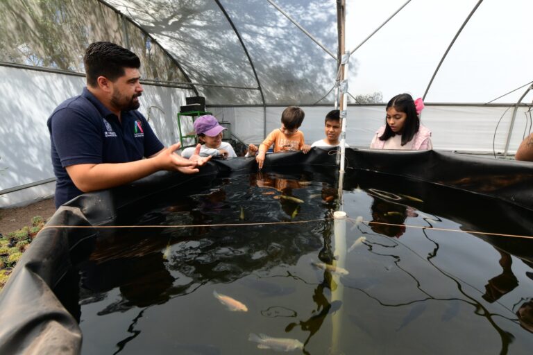 Invitan a vivir verano ecológico en Irapuato