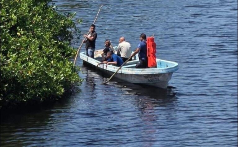 Menor cortazarense muere tras ser arrastrado por cocodrilos a zona de manglares en Lázaro Cárdenas