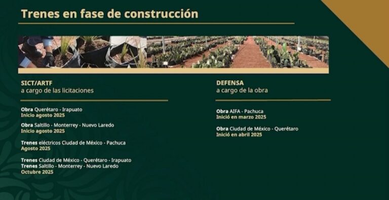 Construcción de tren de pasajeros Querétaro-Irapuato comenzará en Agosto