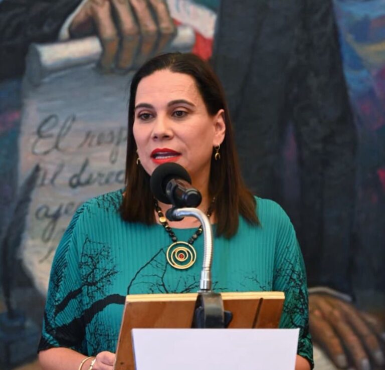 Pónganse a chambear”, reclamó Lorena Alfaro a legisladores,