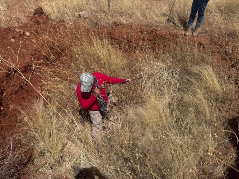 Frenan búsquedas de fosas clandestinas en Guanajuato por escasa colaboración ciudadana