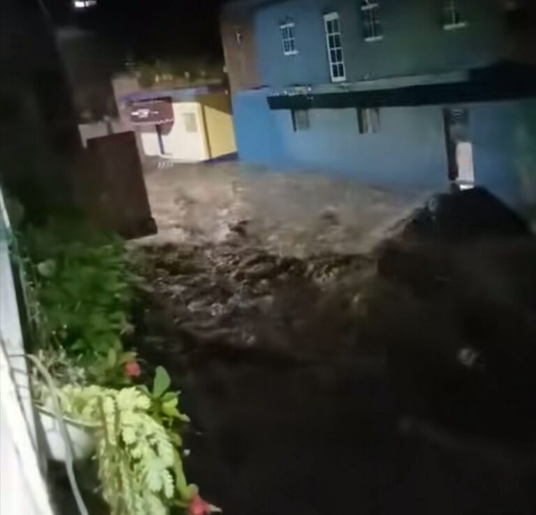 Provoca lluvia daños en Salvatierra