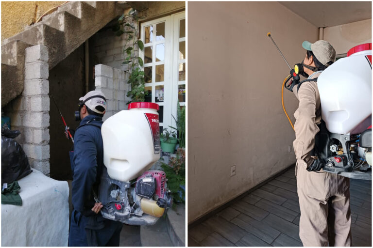SSG interviene varias colonias del municipio de León para reducir la densidad del dengue