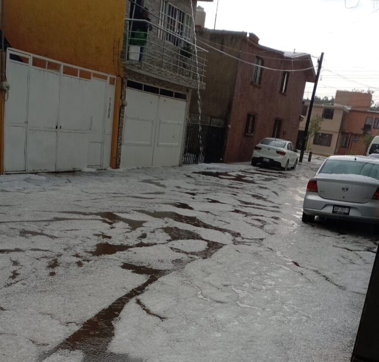 .	Tormenta sorprende a Irapuato con granizo, inundaciones y caída de árboles