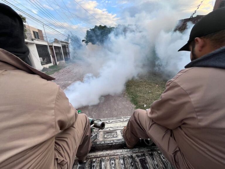 Piden a la ciudadanía prevenir el dengue; Guanajuato registra 51 casos activos