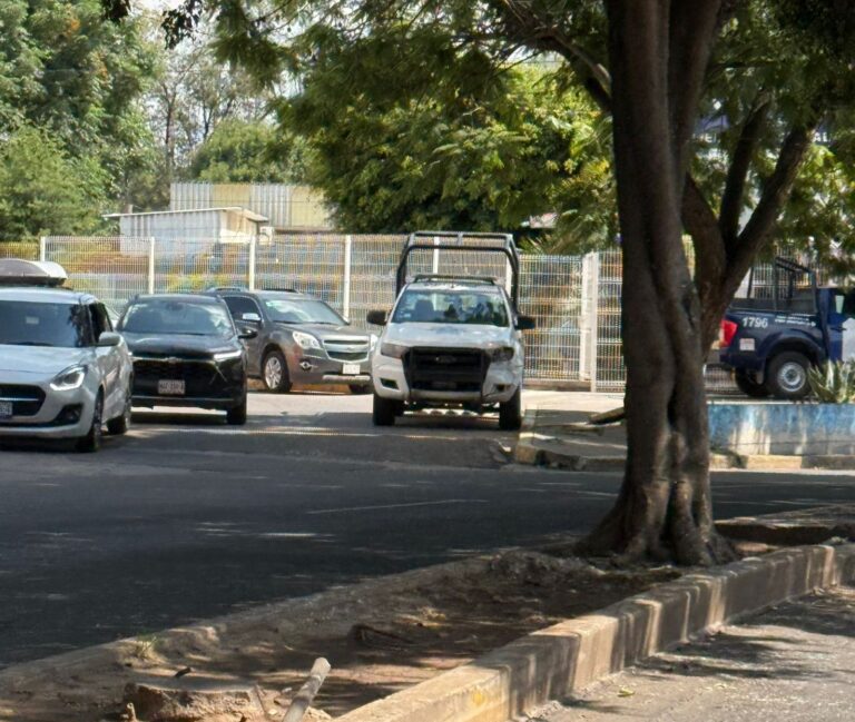 Pide Observatorio Ciudadano información sobre arrendamiento de vehículos