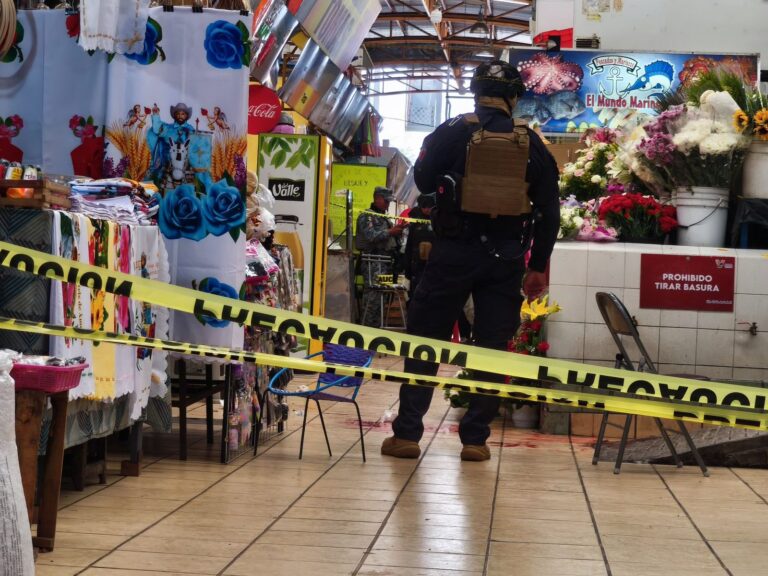 Asesinan a balazos a vendedor de birria dentro del mercado Hidalgo en Valle de Santiago