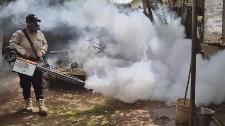 Reportan nuevos 578 contagios por dengue; suman 7 mil 501 casos en el país