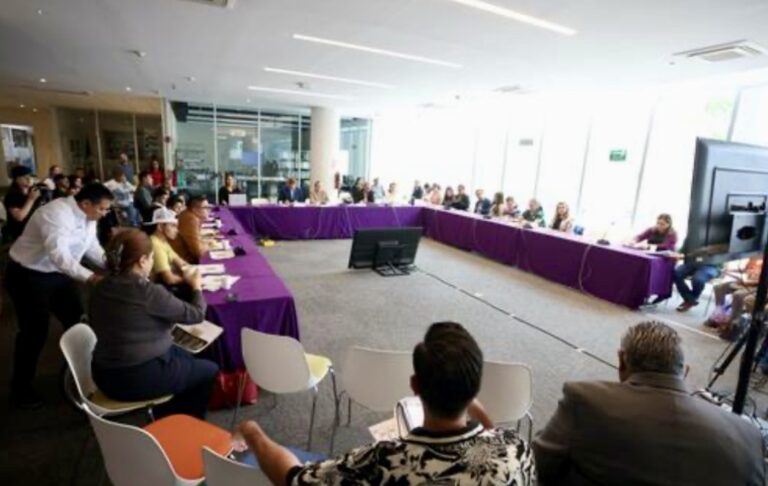Consulta estrecha a personas con discapacidad, reunión con Comisión de Educación, Ciencia y Tecnología y Cultura