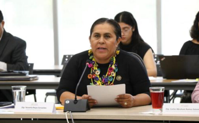 Llaman a incrementar el presupuesto para fortalecer la red consular de México