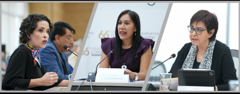 PAN impulsa temas clave para fortalecer el medio ambiente, la justicia y el bienestar social