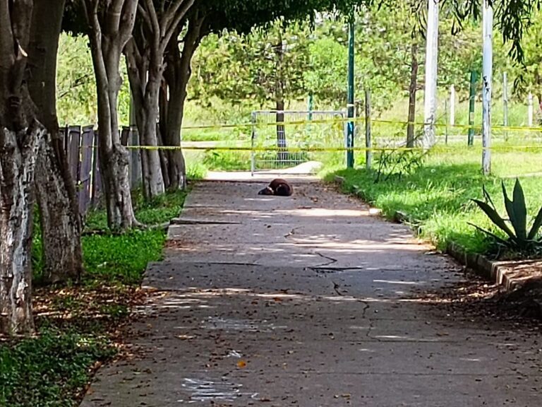 Atacan a un hombre en León