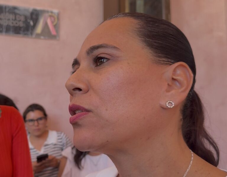 Ofrece alcaldesa uso moderado de pirotecnia en las Fiestas Patrias