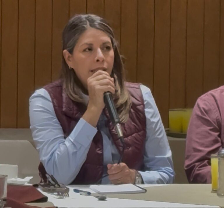Regidora de MORENA cuestiona la seguridad en Irapuato