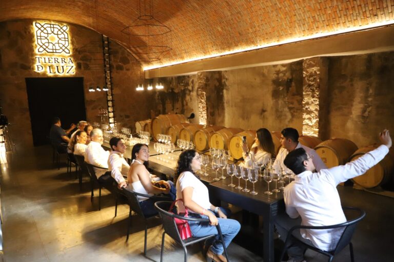 Guanajuato muestra su liderazgo en enoturismo con la temporada de Vendimias 2025