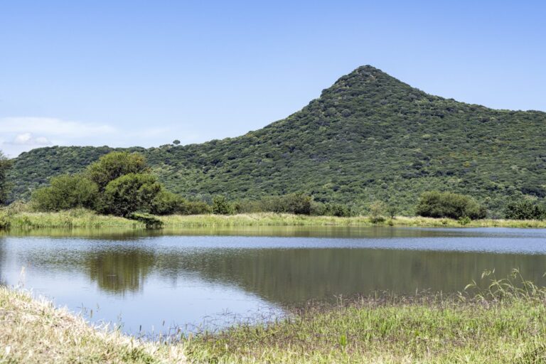 Conmemorarán aniversario de Áreas Naturales Protegidas