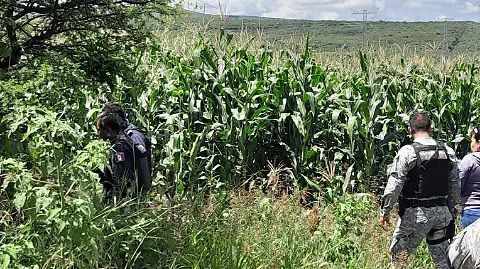Localizan restos humanos en una parcela de Cuchicuato