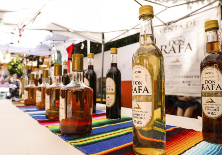 Festival de Cañada de Caracheo deja derrama económica de 2.4 MDP en Cortazar