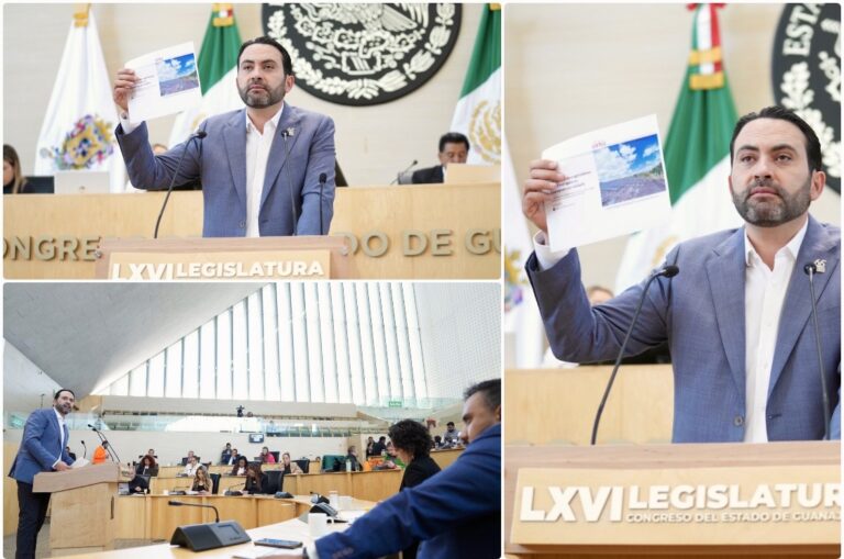 Impuestos justos para el agave: proponen PAN y PRD reforma que defiende al campo y la identidad mexicana