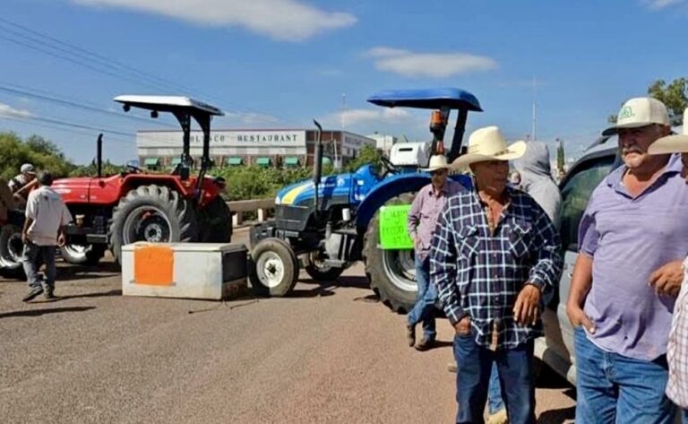 PRODUCTORES AGRÍCOLAS DE 20 ESTADOS, DECIDEN PARO DE ACTIVIDADES