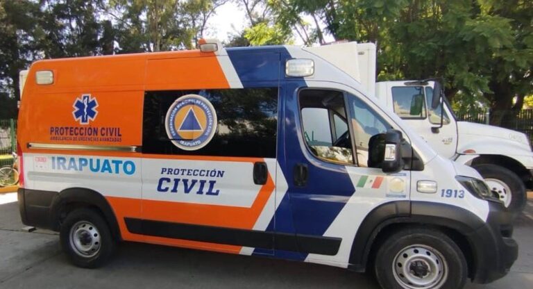 Abejas pican a cuatro personas en templo de la colonia San Martín de Porres