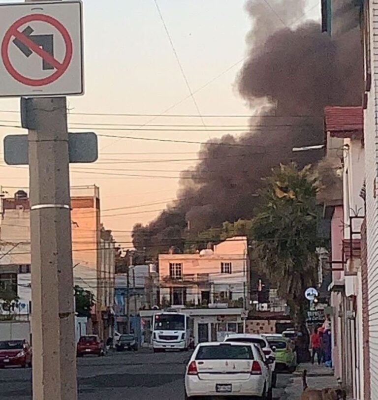 Alerta Sustentabilidad sobre incremento de incendios a causa del frío