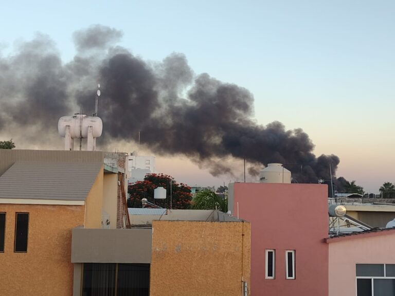 Alarma por incendio de pastizal en Irapuato