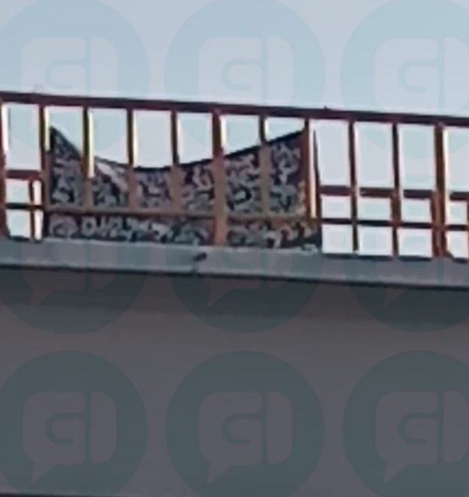 916ff793-d9e9-4ec6-bc64-818c9309552a