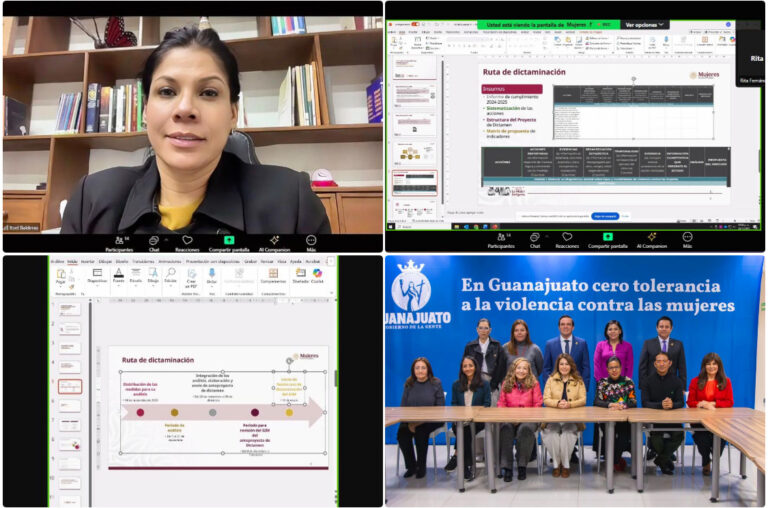 APRUEBAN CRONOGRAMA DE TRABAJO PARA ANALIZAR Y EVALUAR LAS ACCIONES DE LA ALERTA