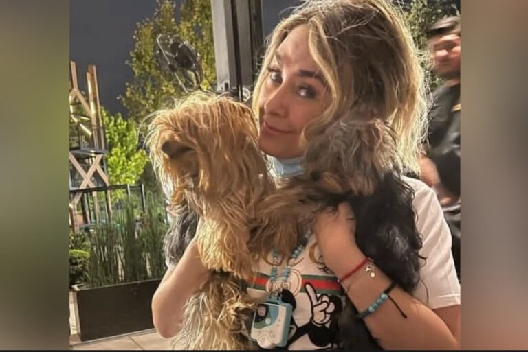 ARACELY ARÁMBULA DENUNCIA EL SECUESTRO DE SU PERRITA LILY Y EXIGE JUSTICIA
