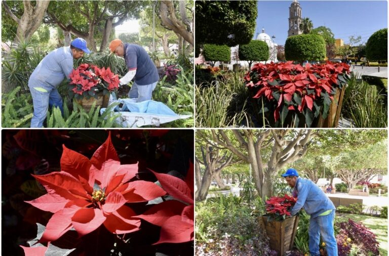 LA NAVIDAD ESTÁ LLEGANDO A IRAPUATO