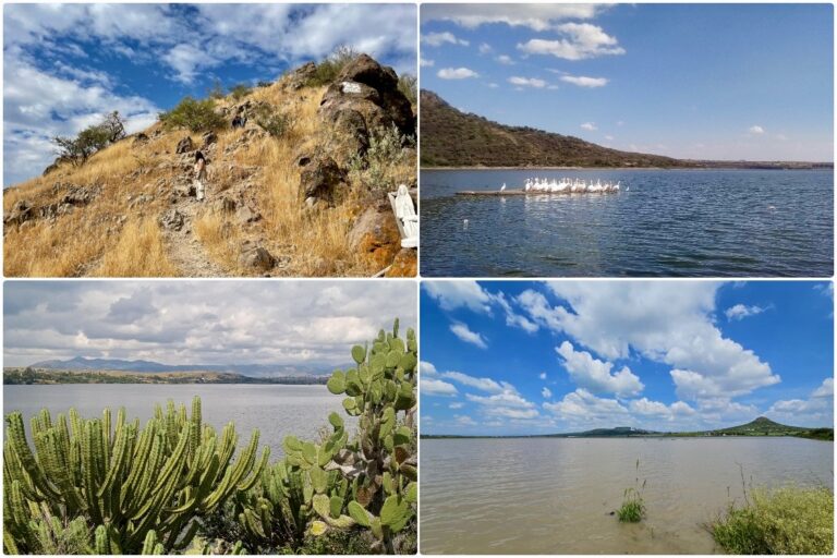 Cerro de Arandas y Presa La Purísima cumplen 20 años de ser declaradas Áreas Naturales Protegidas