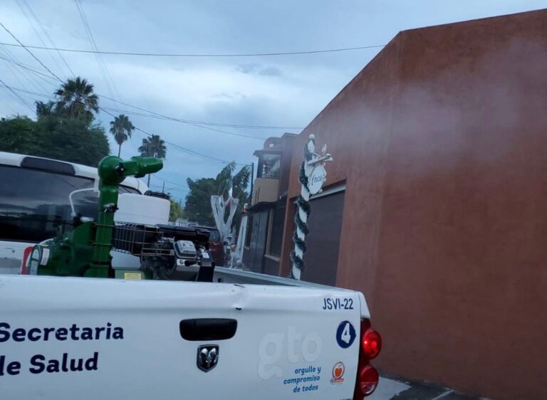 Acumula Irapuato 18 casos de dengue en la última semana epidemiológica