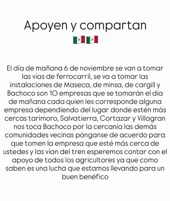 WhatsApp Image 2025-11-05 at 8.58.52 PM