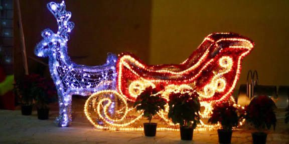 WhatsApp Image 2025-11-12 at 8.19.17 AM