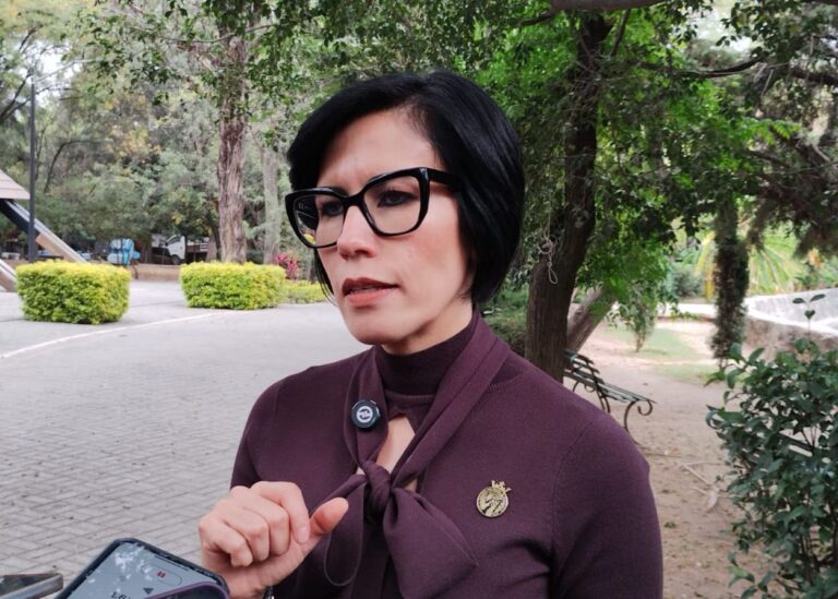 Proyecto “Tocando Corazones” avanza en el estado: Rosario Corona