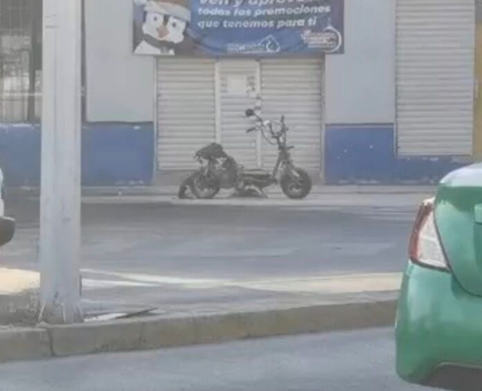 2db37788-3104-477a-b492-d2eb71446cd4