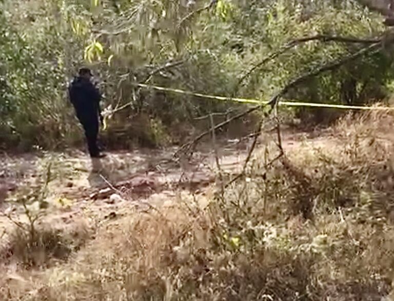 Colectivos encuentran restos de un hombre en Tamahula