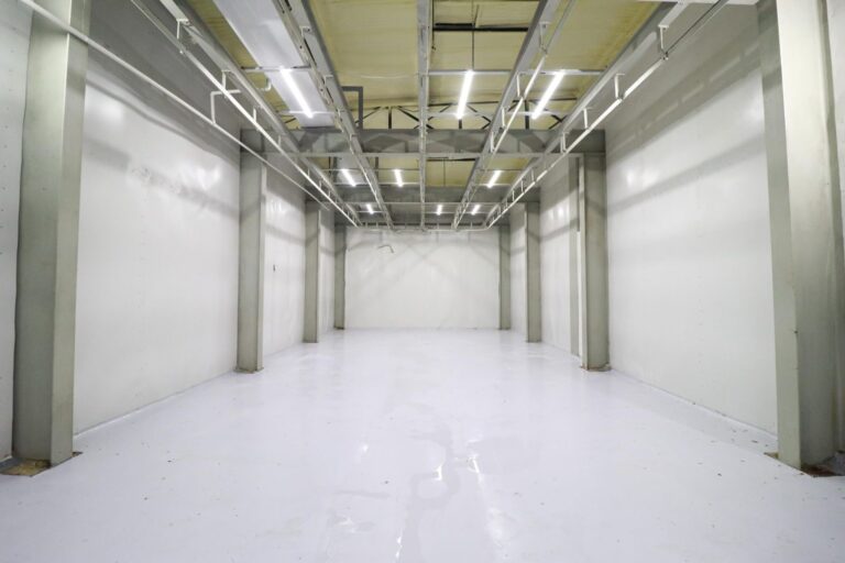 Por festividades, sacrificio de animales en rastro de Irapuato aumenta hasta en 15%