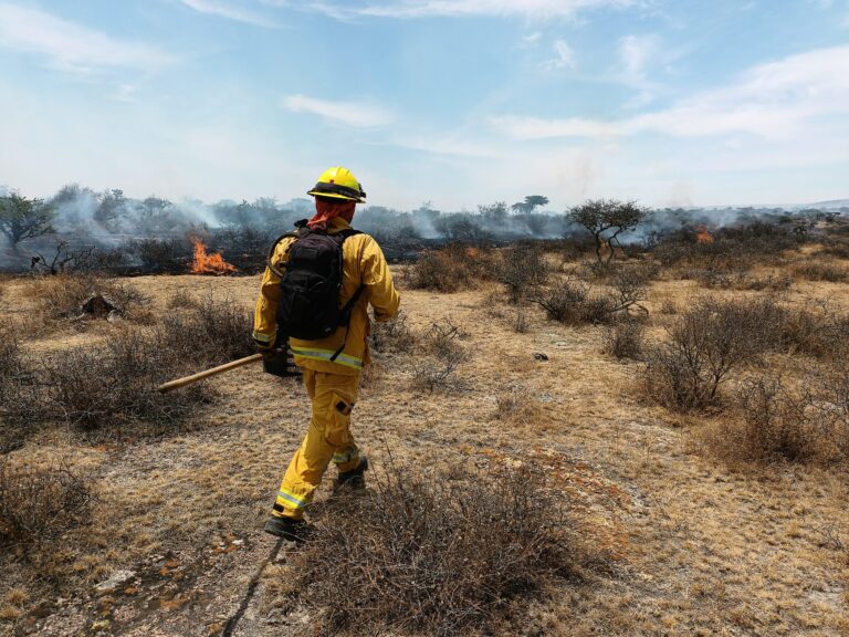 Pide Secretaría de Seguridad y Paz a municipios fortalecer prevención de incendios