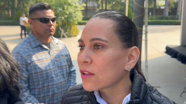 Llama Lorena Alfaro a Gobierno Federal a asumir sus compromisos con la seguridad en Irapuato