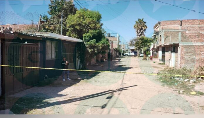 WhatsApp Image 2025-12-26 at 3.11.34 PM