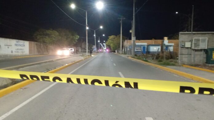 02491ccf-8b90-44bc-82b7-a09eedf27013