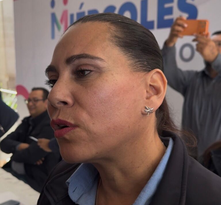 Presentarán cartelera de la Feria de las Fresas el 6 de febrero