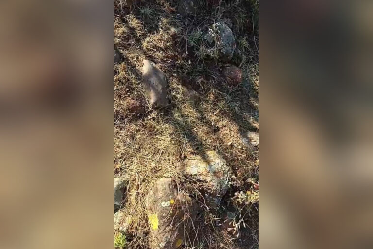 Colectivo Hasta Encontrarte localiza fosas clandestinas en serranía de Tamahula