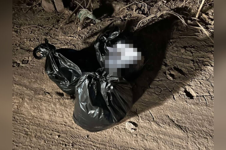 Disparos contra vivienda y hallazgo de bolsas con vísceras de animal movilizan a autoridades